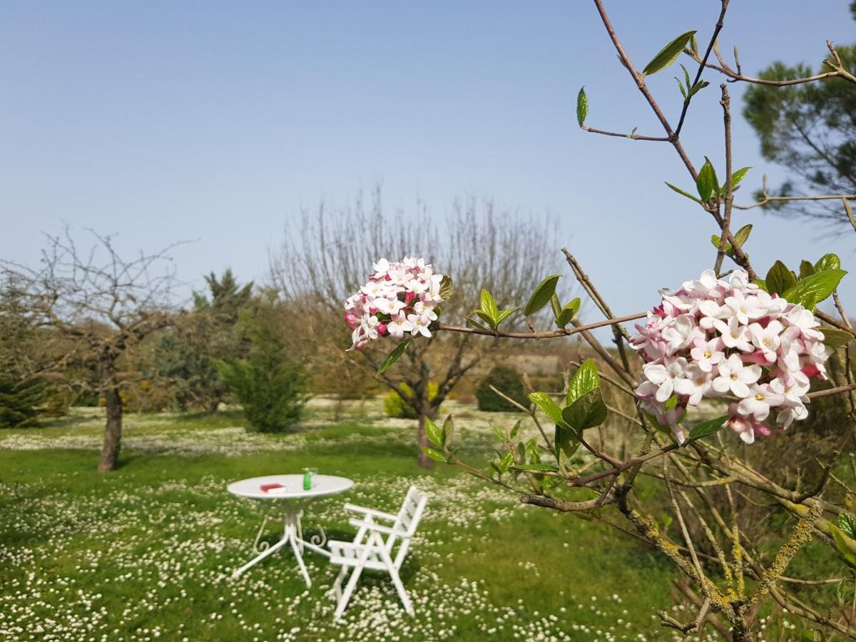 Domaine De Pelouaille - Chambre D'Hotes Saint-Jean-dʼAngély Eksteriør bilde